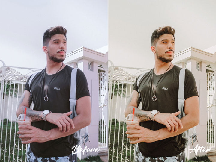 פריסטים להורדה בחינם לאדובי לייטרום